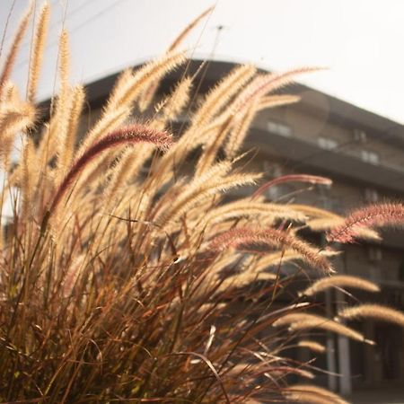 Rondpoint Pilar Apartment ปีลาร์ ภายนอก รูปภาพ